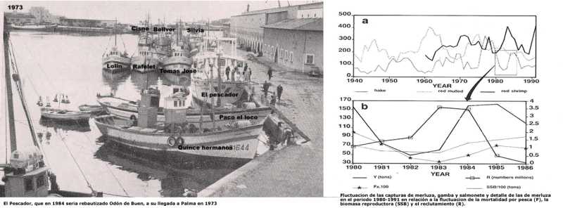 Pescador y fluctuacion de lluç jpg