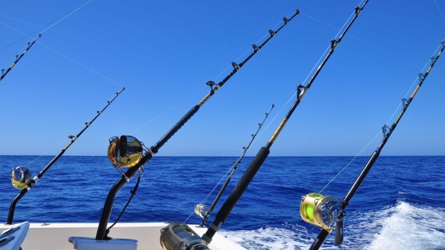 Articulos y Suministros para Pesca Profesional y Flota Pesquera